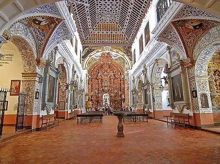 Colon