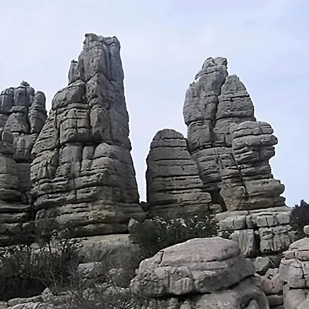 Colon Antequera