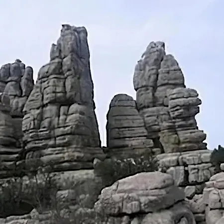 Colon Antequera