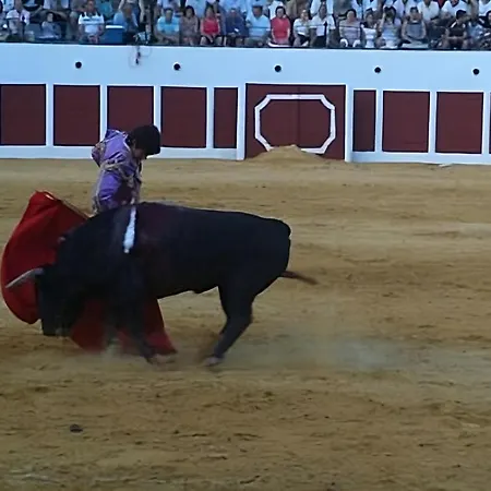 Penzion Colon
