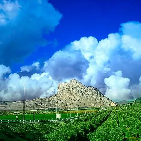 Colon Antequera